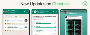 whatsapp channel updates - the reelstars