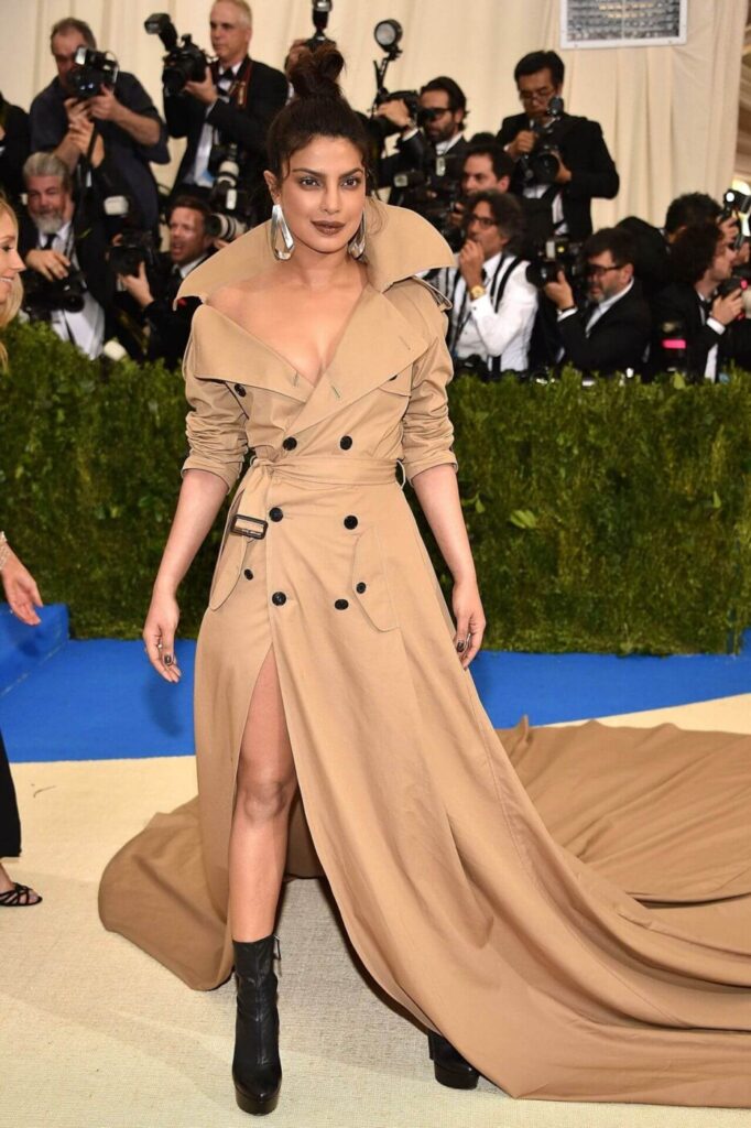 priyanka chopra met gala - the reel stars