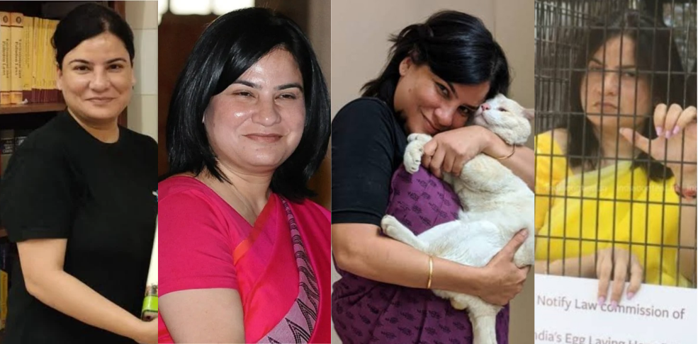 Gauri Maulekhi Cover Animal Rights and Welfare Activist-The Reelstars