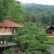 wayanad tourism - the reelstars