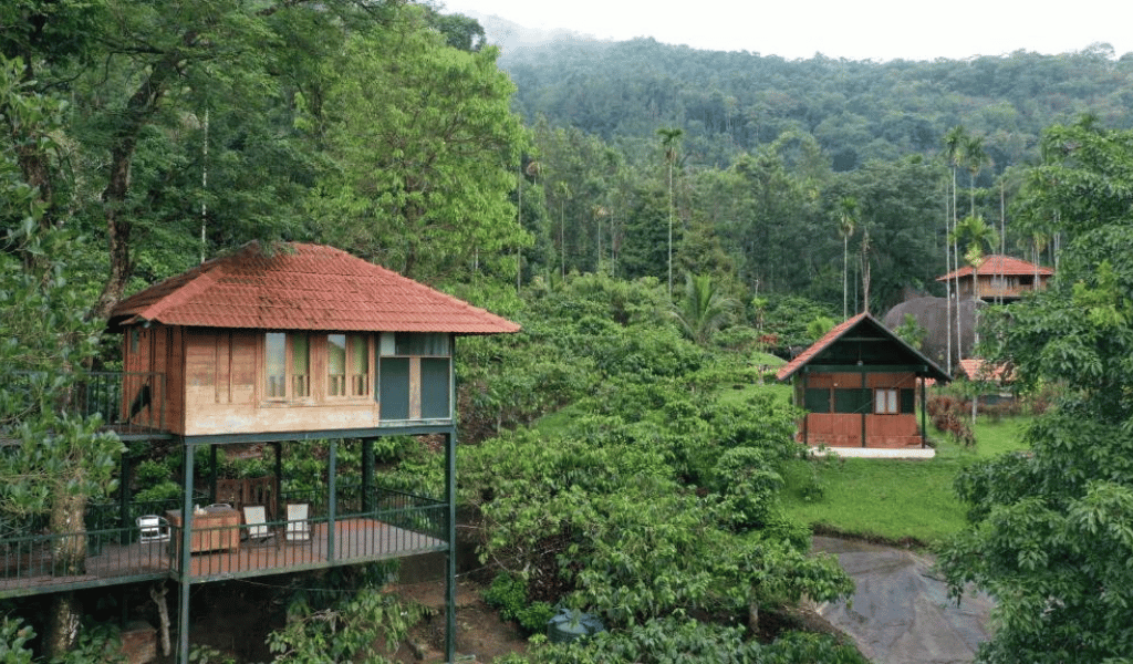 wayanad tourism - the reelstars